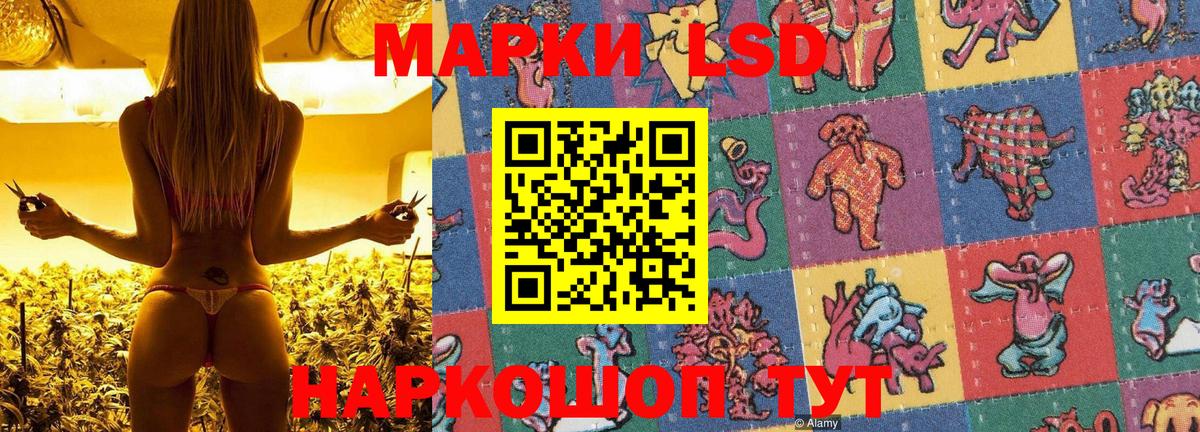 Марки N-bome 1,5мг  Вход с VPN  Марки N-bome 1,5мг  Марки N-bome  как найти   Хабаровск 