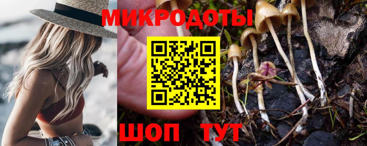 Псилоцибиновые грибы Psilocybe Хабаровск